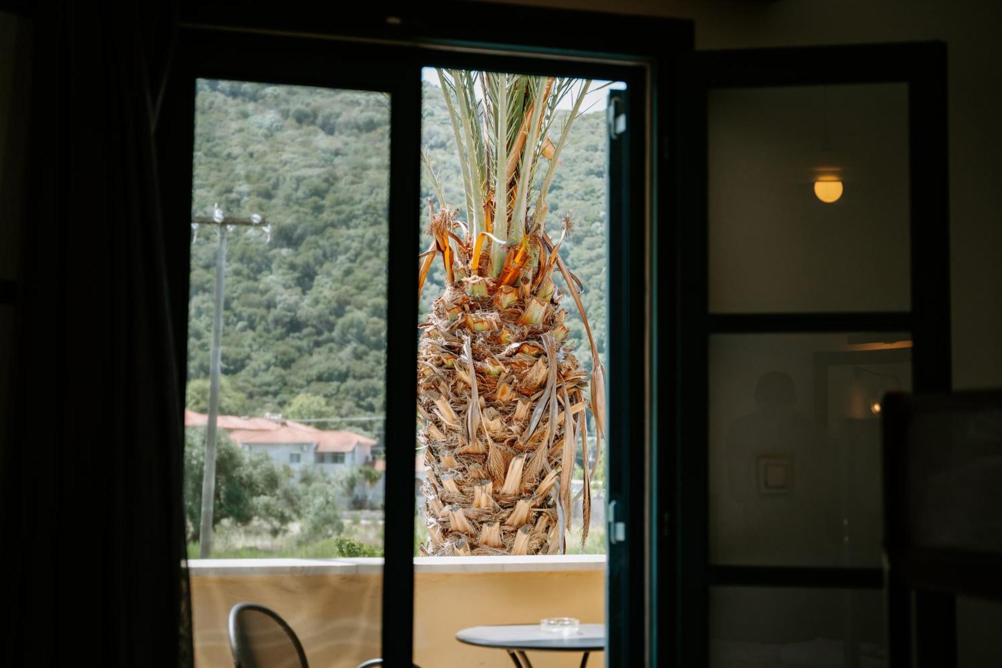 Karavostasi Beach Hotel 波帝卡 外观 照片